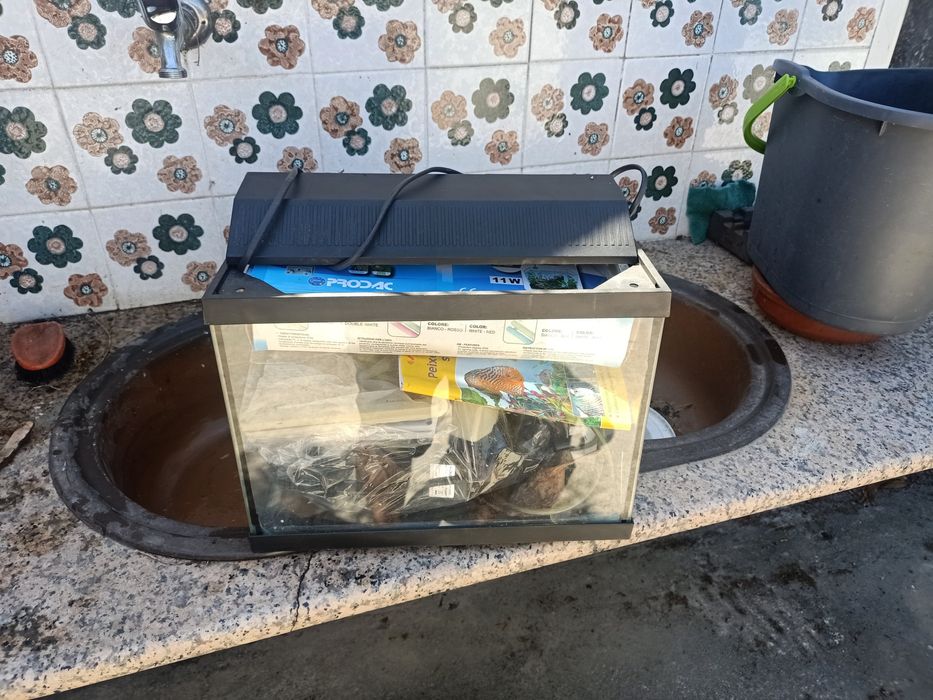 Conjunto de aquarios com acessórios