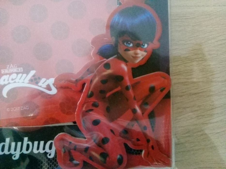 Ladybug Photo Frame425231133695037442