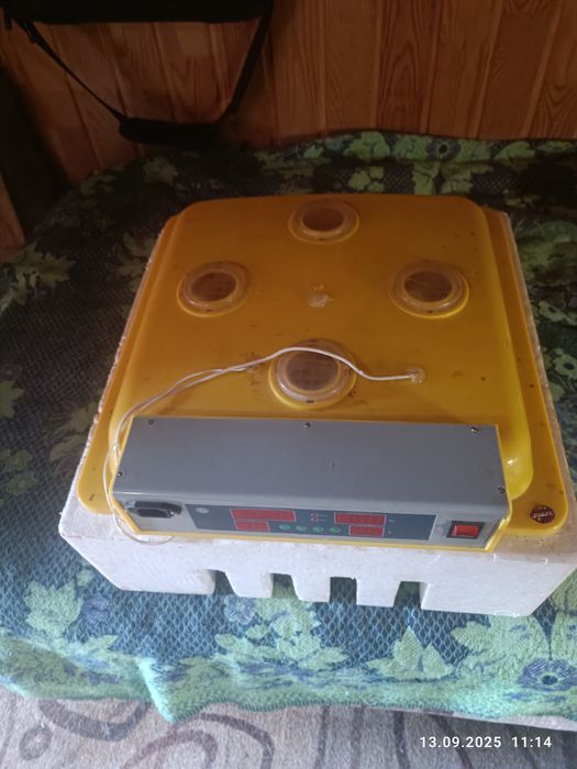 Інкубатор автомат MS 36/144 .Для всіх видів птиць.