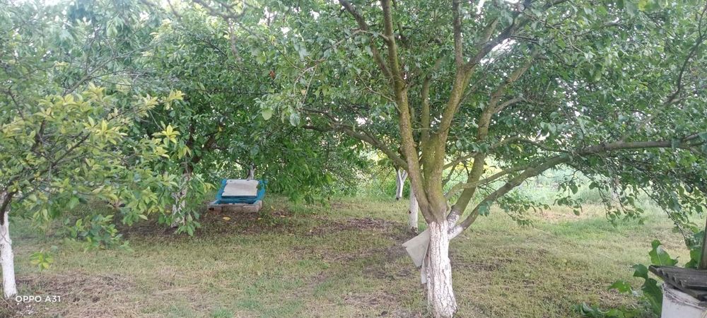 Продам дом в Спасском