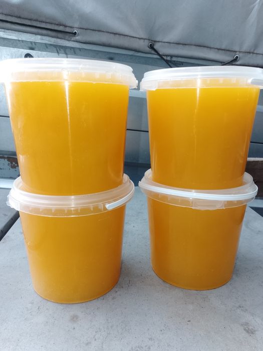 Продам соняшниковий мед