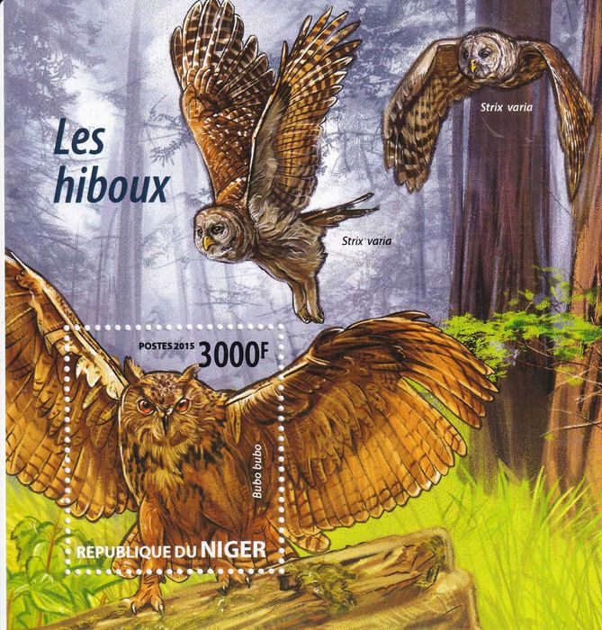 WŚTiK 2015 cena 5,90 zł kat.8,25€ - sowy