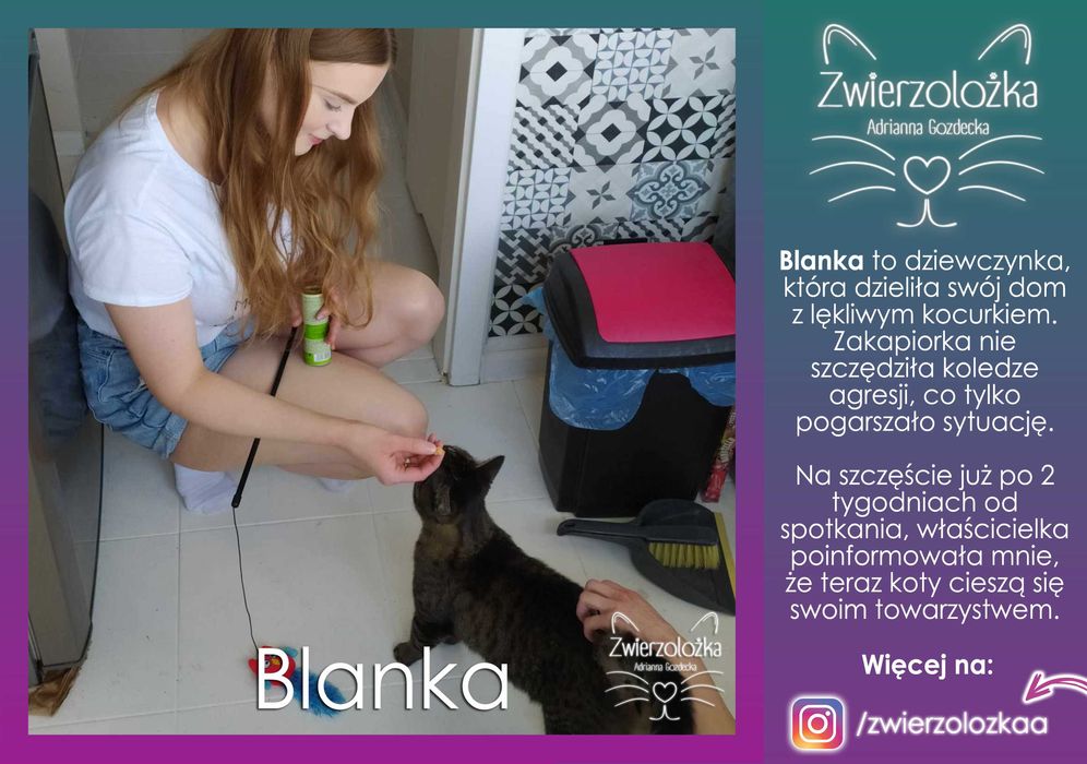 Behawiorysta zoopsycholog – Koty, Psy, Gryzonie