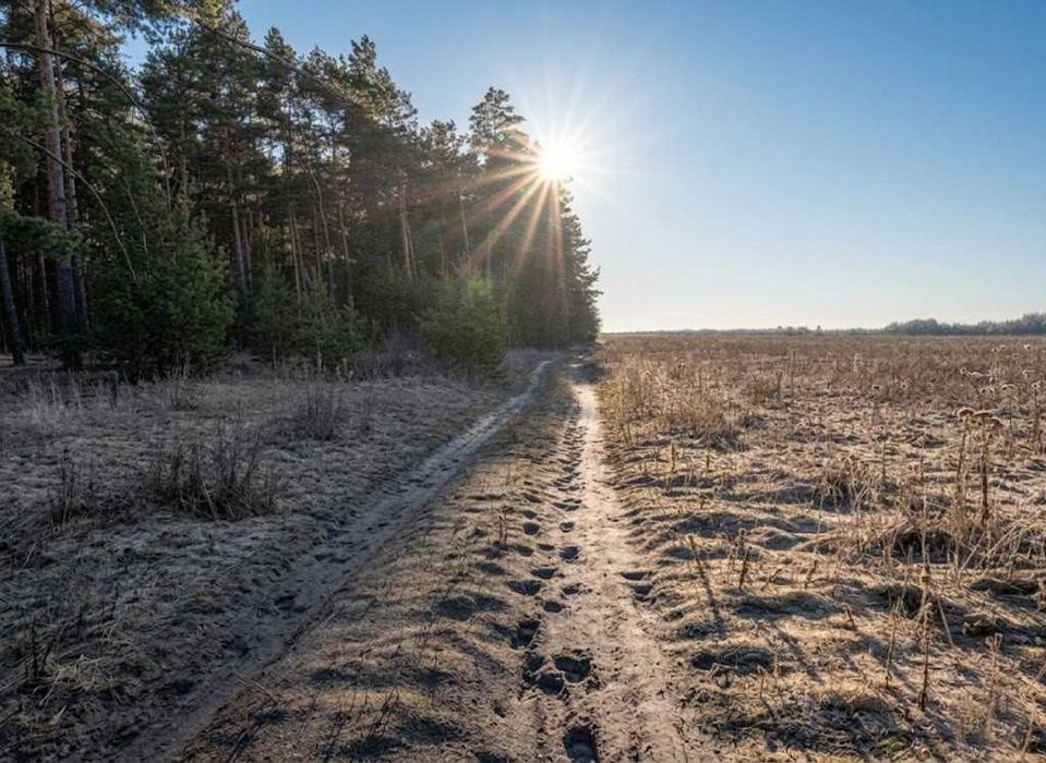 Продаж ділянки 15 соток для будівництва. Фасад 41м. Біля лісу. ID:302