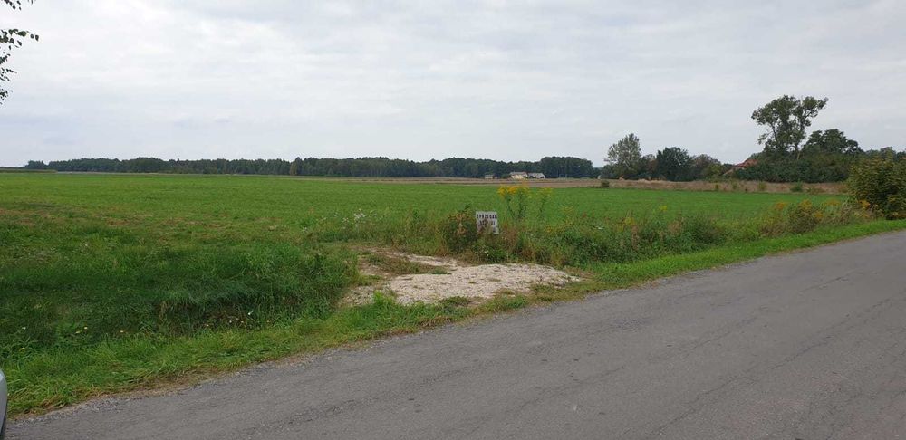 Działki w Postękalicach (w trakcie uzyskiwania warunków zabudowy)