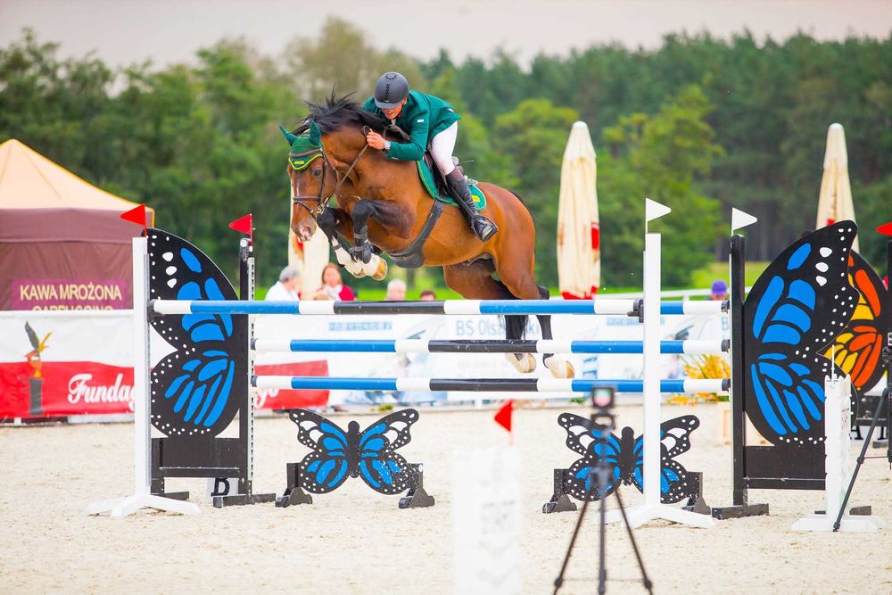 CHE GUEVARA L / hol. / 171cm / 80 pkt. / 2026