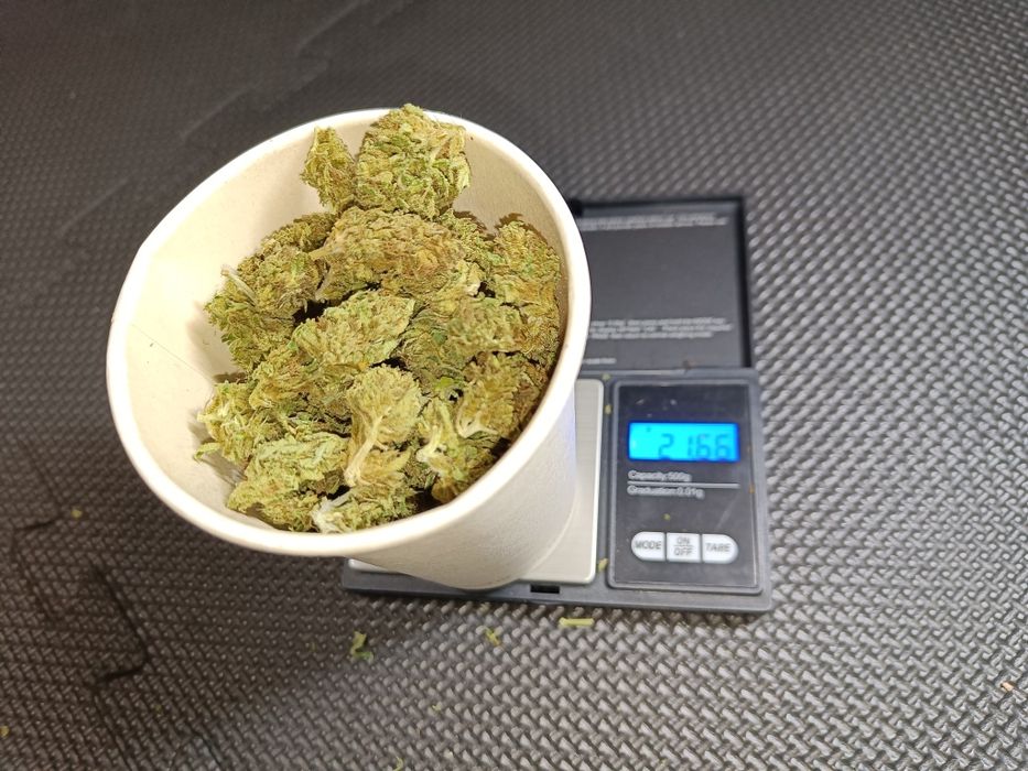 50g suszu kwiaty z liśćmi konopi CBD Przysmak Prezesa