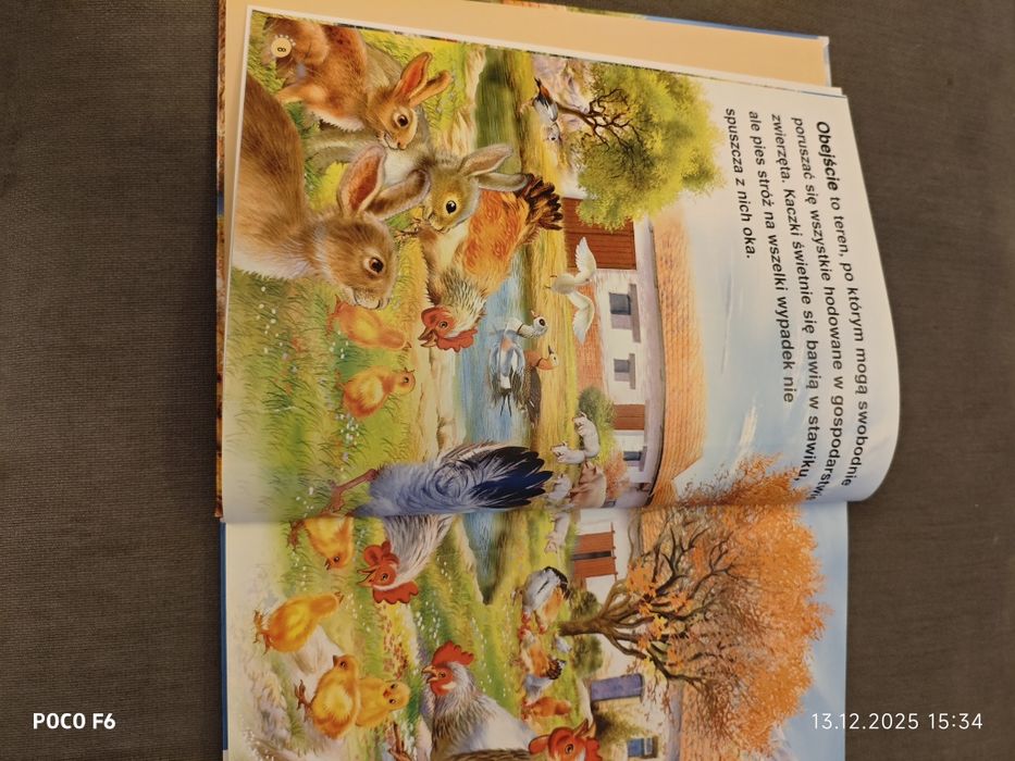 Książka Gospodarstwo i życie na wsi. Wyd. Olesiejuk