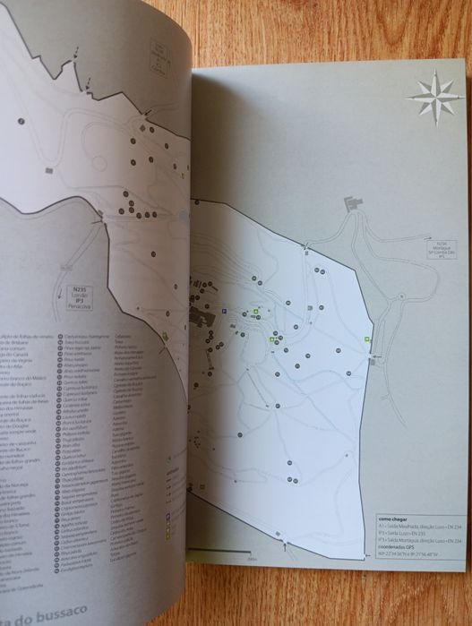 Buçaco, Mata Nacional do Buçaco - Árvores e Arbustos