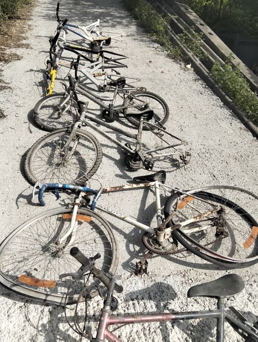 Lote de 14 bicicleta