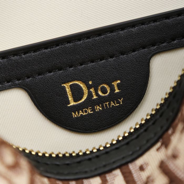 DIR Жіноча крос-боді Louis Vuitton