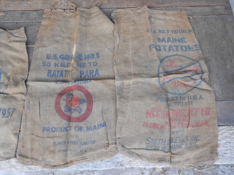 Sacas serapilheira antigas batatas castanhas rustica retro agricola