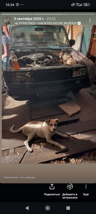 Отдам в хорошие руки