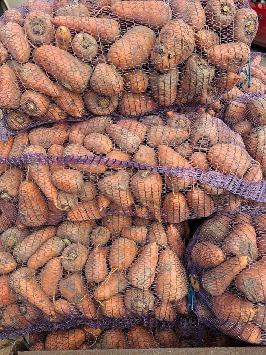 В продажі морква