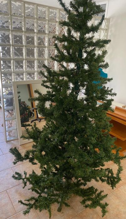Árvore de Natal, 2m