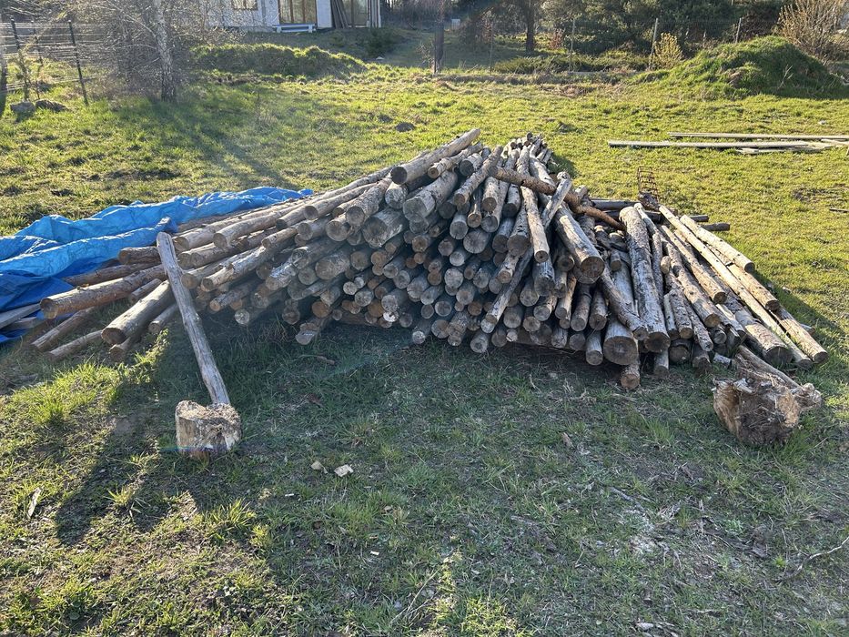 Stemple Zblewo odbiór osobisty