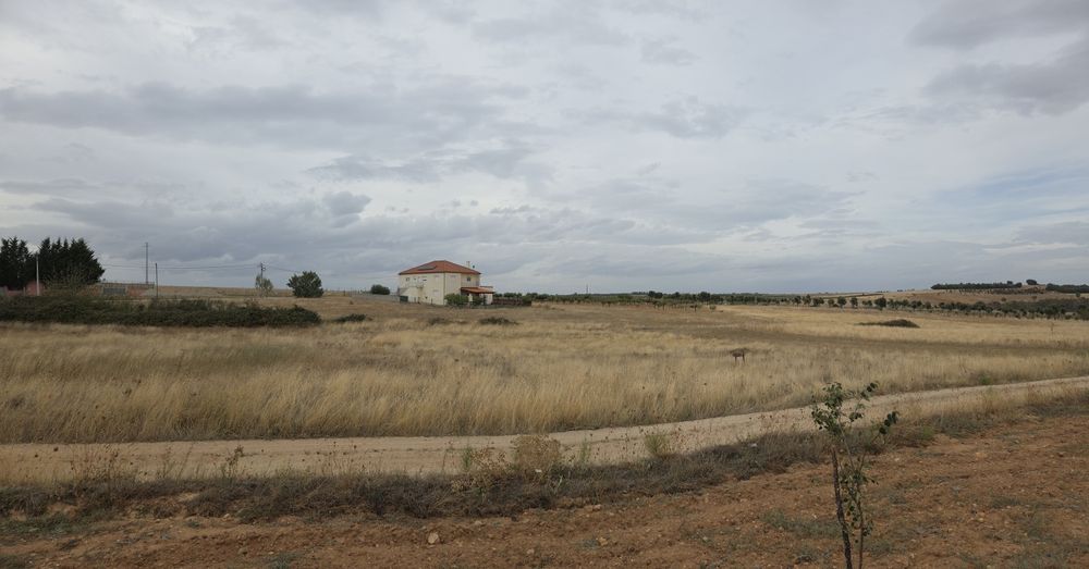 Terreno em sendim