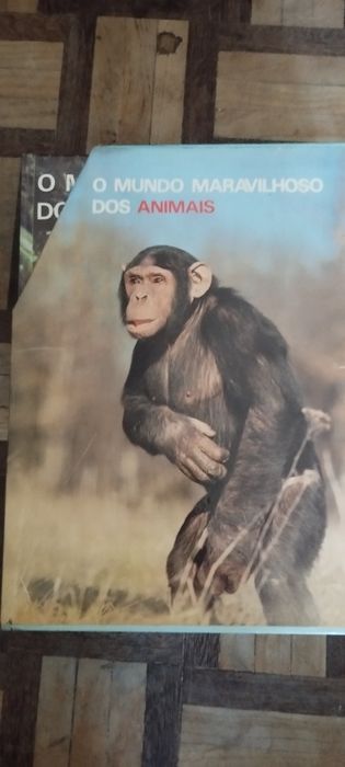 Enciclopédia o mundo maravilhoso dos animais