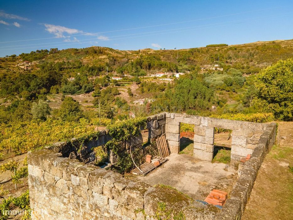 Quinta com vinha e ruína para recuperar – Grilo, Baião — Grilo, Porto