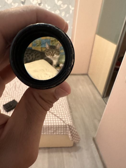 Коліматор eotech XPS2-0 та магніфер eotech G33.STS