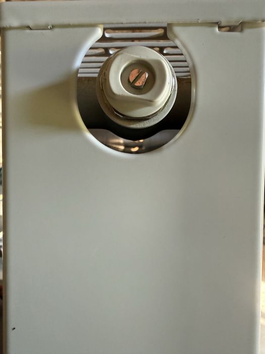 Grzejnik panelowy 60x1000