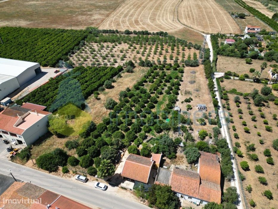 Quinta com Pomar de citrinos e casa térrea