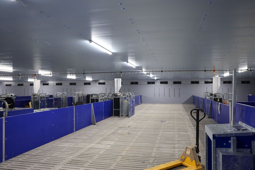 Izolacja Obory Chlewni Tuczarni Kurnika Wiaty Hali Styrodur XPS AGRO