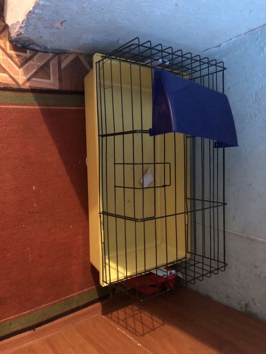 Клетка для кролика или морской свинки