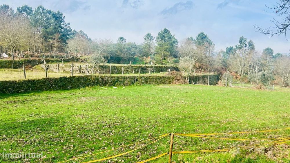 Encantador Terreno Rústico em Viseu com Poço