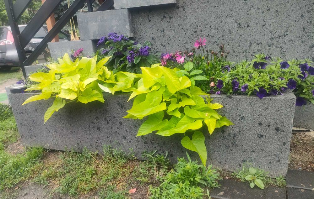 Donice ze styroduru