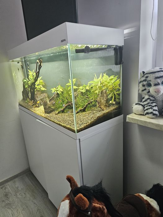 Akwarium 200l optiset 2.0 z osprzętem i życiem