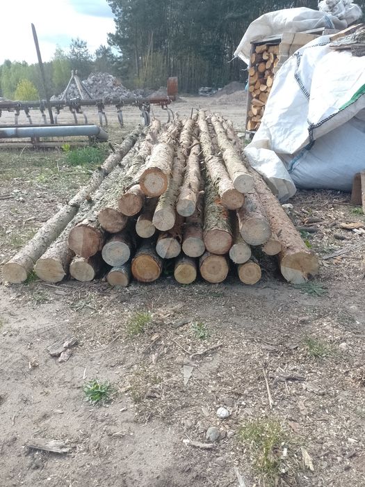 Stemple 3m drewniane nowe