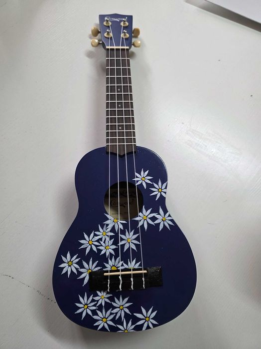 Ukulele pintado a mão