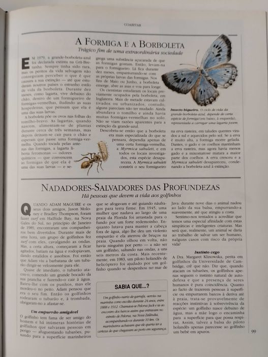 Sabia que. . .? - Selecções