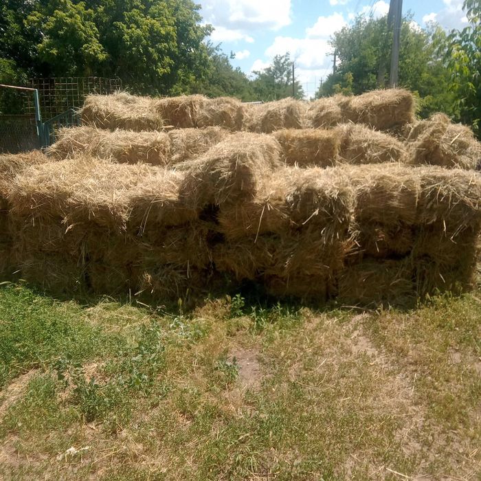 Сено луговое в тюках
