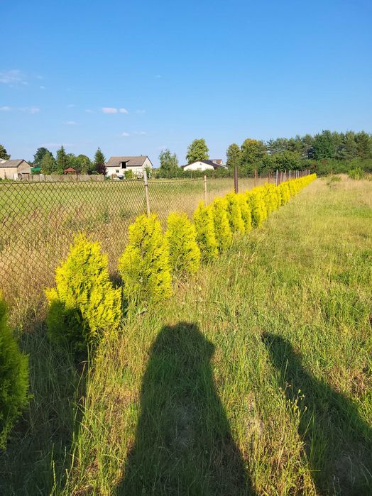Działka budowlana - Widok 6