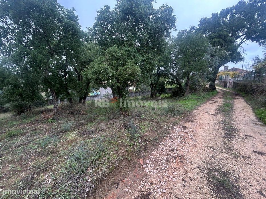 2 terrenos rústicos com 7160m2 - Aboboreira Fundeira, Tomar