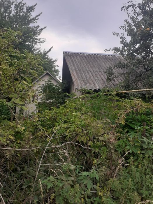 Земельна ділянка