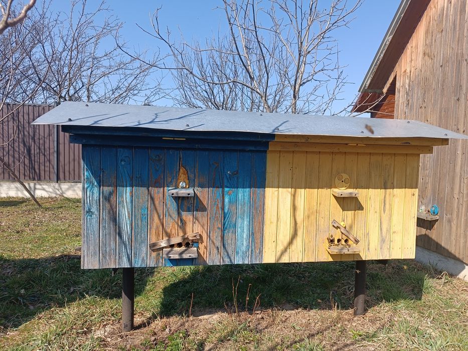 Бджолосім'я з вуликом