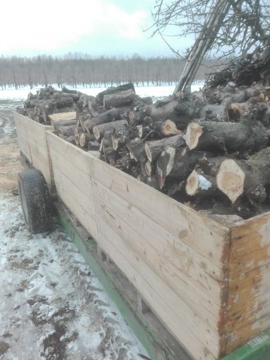 Sprzedam drewno jabłoniowe , na opał, drzewo , drewno