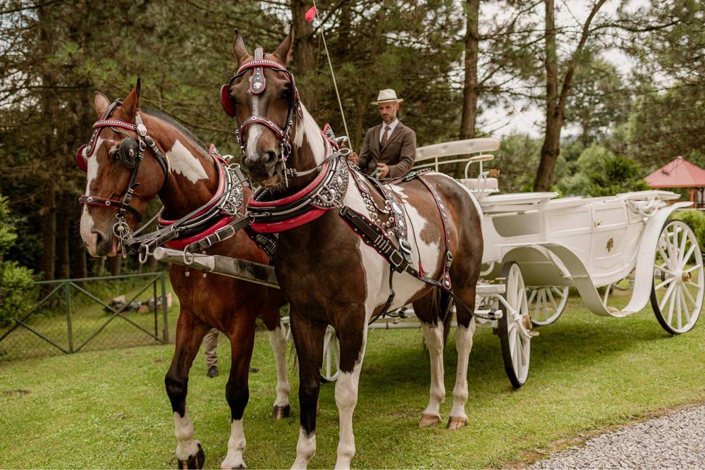 Bryczka do Ślubu Zakopane Katowice Warszawa
