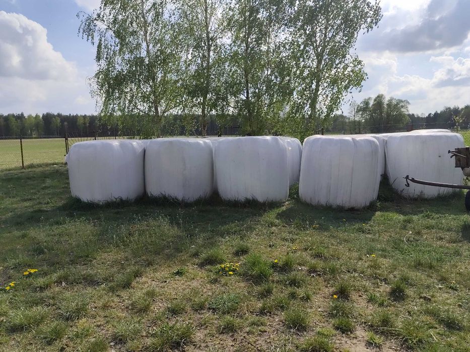 Sianokiszonka, bele, baloty, 8 sztuk