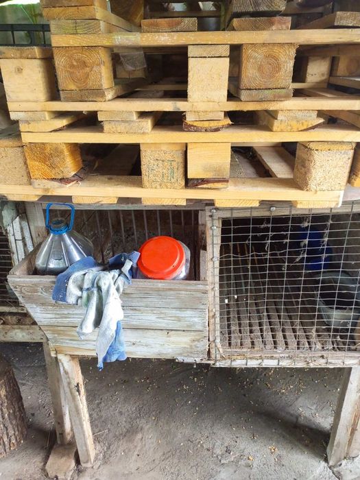 Продам клетки для кроликов