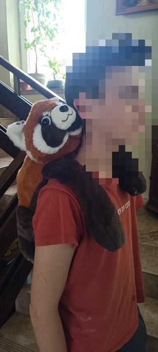 Ciężkomiś,pluszak.