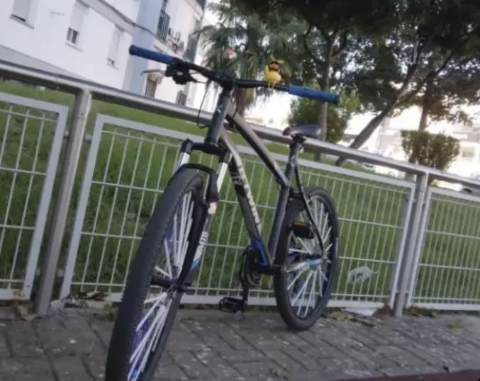 Bicicleta B'TWIN Rockrider – Fiável e Estimada