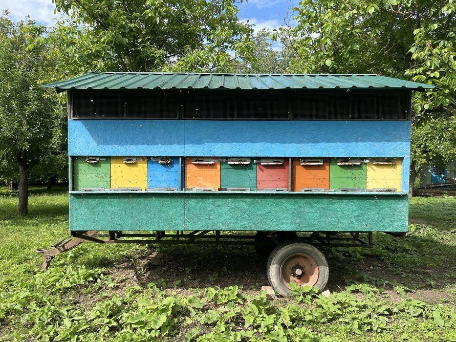 Продам бджолопавільйон на українську рамку