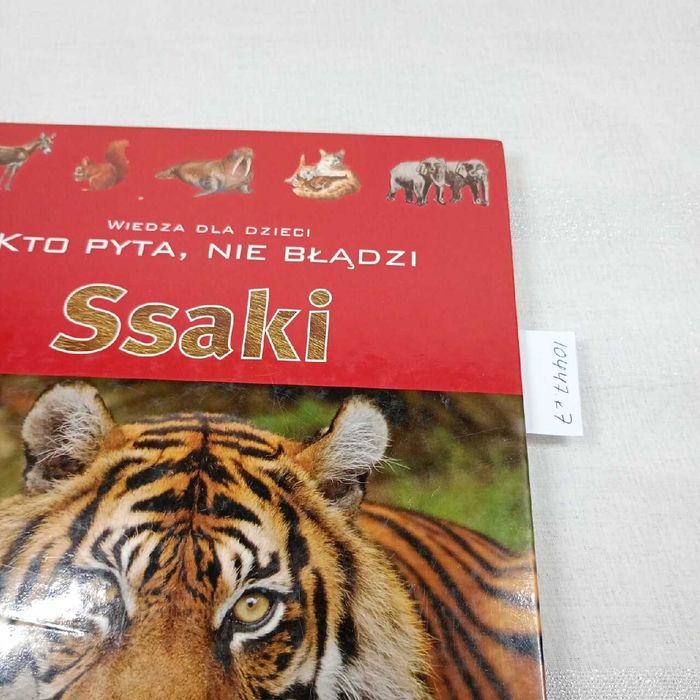 Ssaki. Wiedza dla dzieci. Kto pyta nie błądzi.