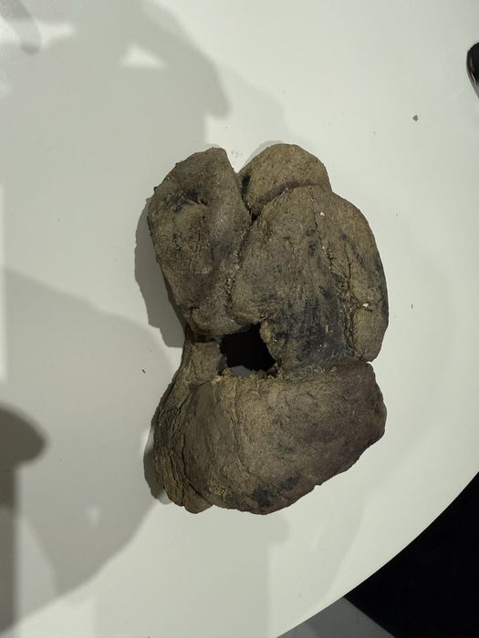 Kryjówka dla węża jaszczurki