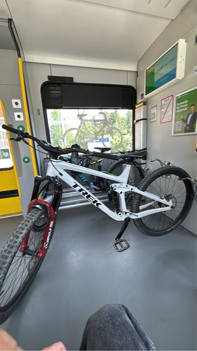 Trek remedy 8 custom