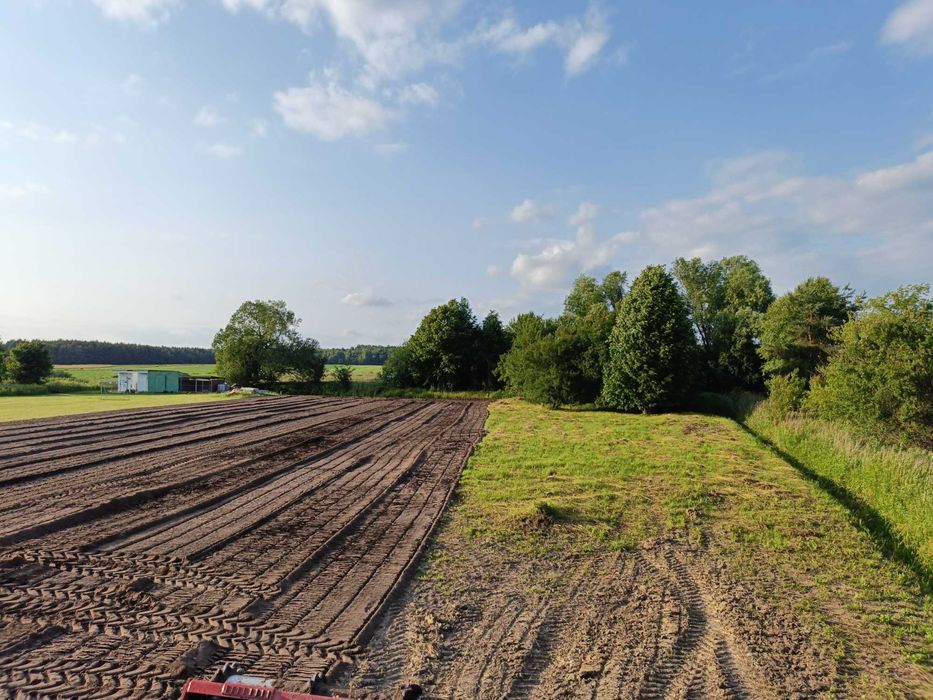 Mulczer wgłębny, Wycinka drzew, Karczowanie, Rekultywacja, Czyszczenie